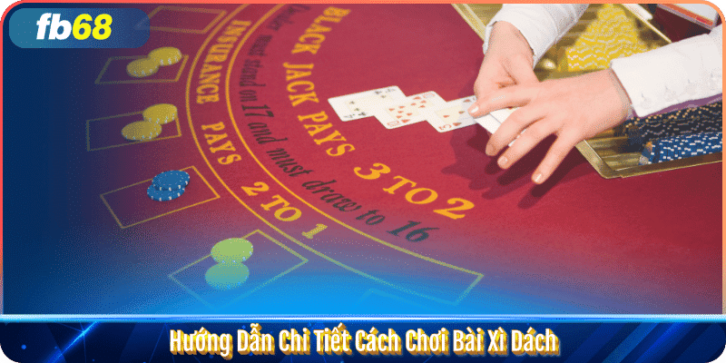 Hướng Dẫn Chi Tiết Cách Chơi Bài Xì Dách
